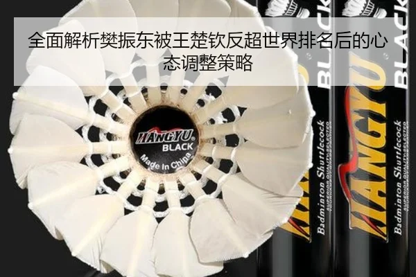 quan-mian-jie-xi-fan-zhen-dong-bei-wang-chu-qin-fan-chao-shi-jie-pai-ming-hou-de-xin-tai-tiao-zheng-ce-lve-3-109.jpg