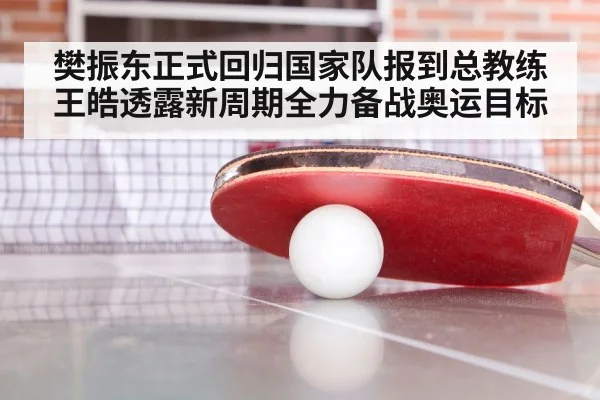樊振东正式回归国家队报到总教练王皓透露新周期全力备战奥运目标